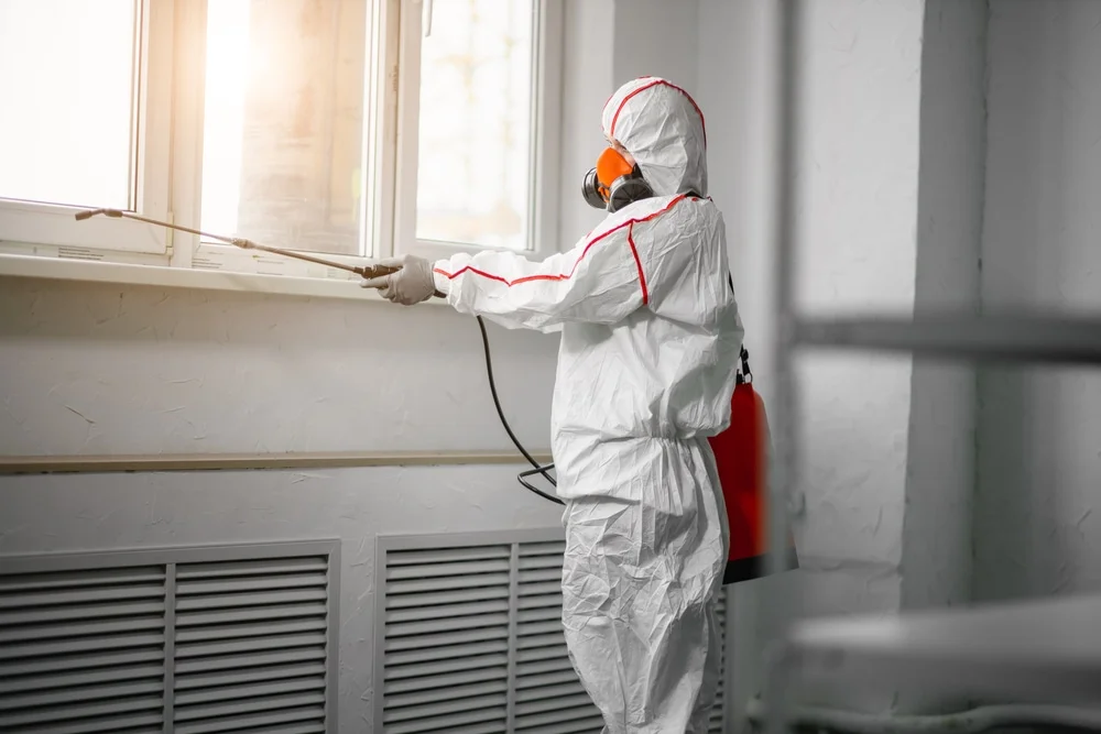 Professional mold remediation services in Deep Run, NC